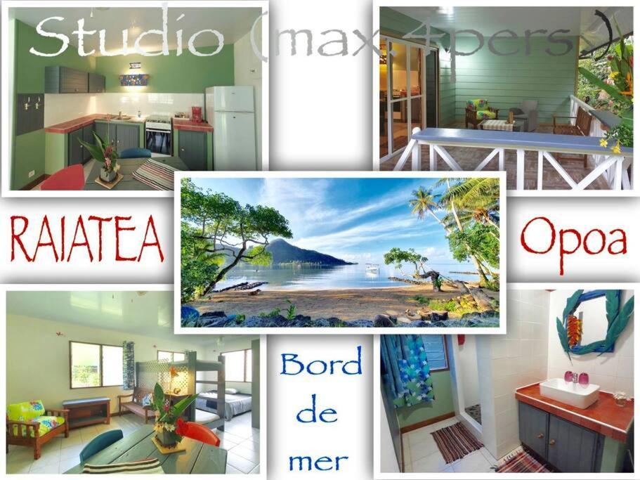 Raiatea, Opoa, Studio Du Fare Reve, Acces Mer Privatif 외부 사진